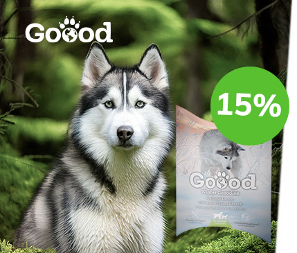 Covetrus | Winterliche Genussmomente Covetrus | Winterliche Genussmomente