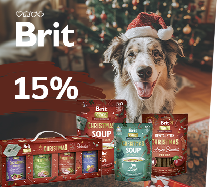 Covetrus | Brit Christmas Edition