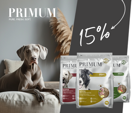 Covetrus | Primum Relaunch Covetrus | Primum Relaunch