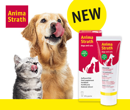 Covetrus | NEW: Anima Strath