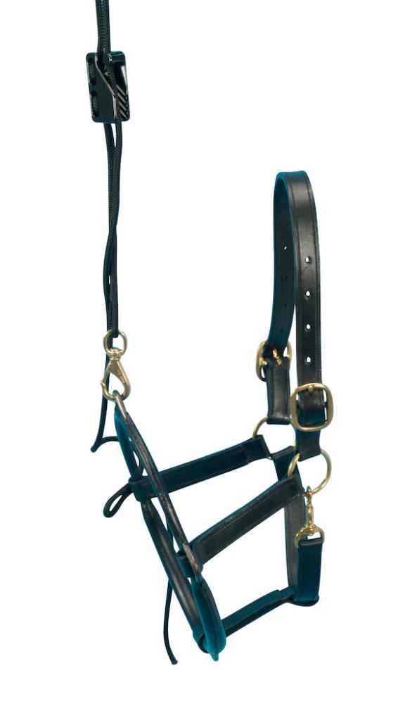 EQUIVET Dental Halter für Zahnuntersuchungen EQUIVET Dental Halter für Zahnuntersuchungen